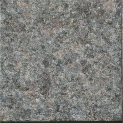 Tan brown Granite  Tile